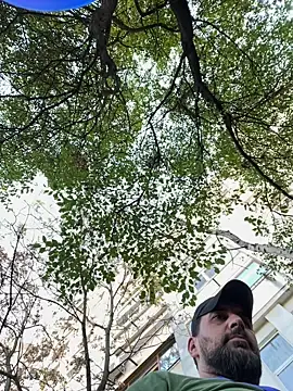 Snapshot of TigerOne19 chatting on 29, 10, 2025 TigerOne19 online show from 29, 10, 2025