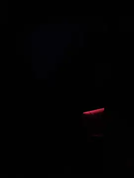 Snapshot of dingoding chatting on 14, 1, 2025 dingoding online show from 14, 1, 2025