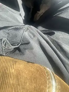 Snapshot of dingoding chatting on 10, 2, 2025 dingoding online show from 10, 2, 2025