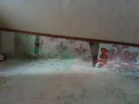 hairypussyyummy online show from 12, 3, 2025