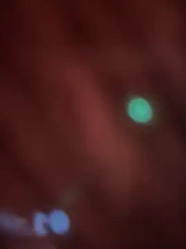  Danna online show from 14, 2, 2026