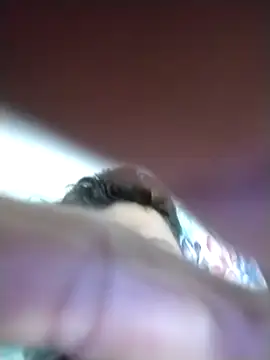 mezenga9813 online show from 6, 2, 2026