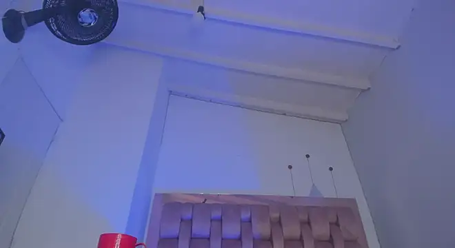 swt-booty online show from 11, 12, 2024