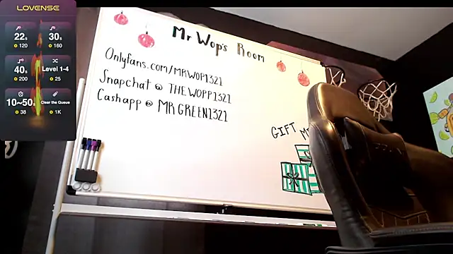 mrwop1 online show from 22, 12, 2024