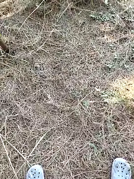 Snapshot of Gopal1243 chatting on 9, 1, 2026 Gopal1243 online show from 9, 1, 2026