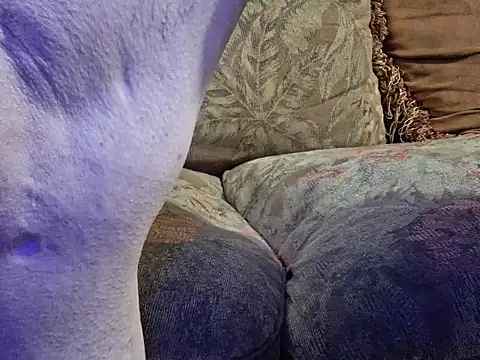 Snapshot of highstepper500 chatting on 20, 2, 2026 highstepper500 online show from 20, 2, 2026