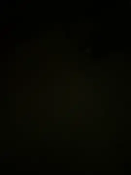 ZoozoDick online show from 5, 2, 2026