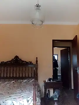 White rabbit  online show from 8, 12, 2024