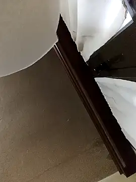 Snapshot of White_rabbit_ chatting on 11, 12, 2024 White rabbit online show from 11, 12, 2024