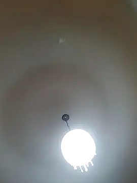 Snapshot of White_rabbit_ chatting on 26, 2, 2025 White rabbit online show from 26, 2, 2025