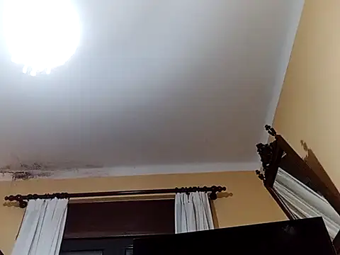 White rabbit  online show from 27, 2, 2025