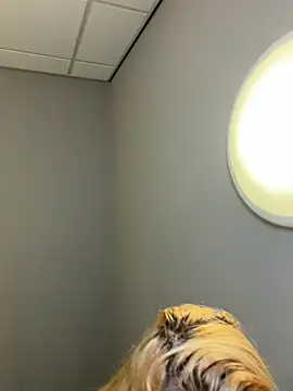 Strongqueen online show from 13, 2, 2026