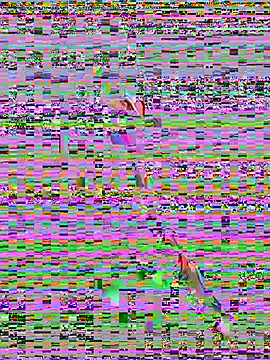 sahorix1 online show from 20, 2, 2026