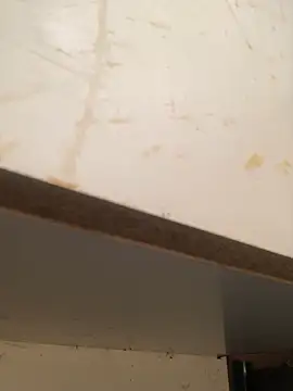 foxiks online show from 9, 4, 2026