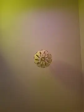 cuci45 online show from 11, 10, 2025