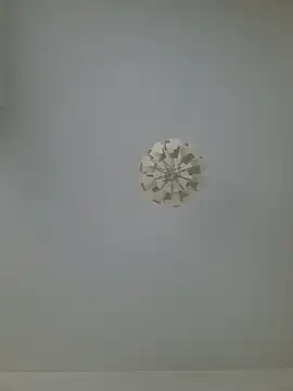 Snapshot of cuci45 chatting on 20, 2, 2026 cuci45 online show from 20, 2, 2026