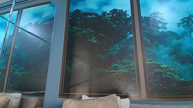 Snapshot of JONAS_SMITH_ chatting on 1, 2, 2025 JONAS SMITH online show from 1, 2, 2025