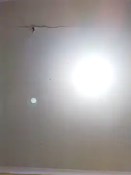 DangerousSafari online show from 3, 11, 2025