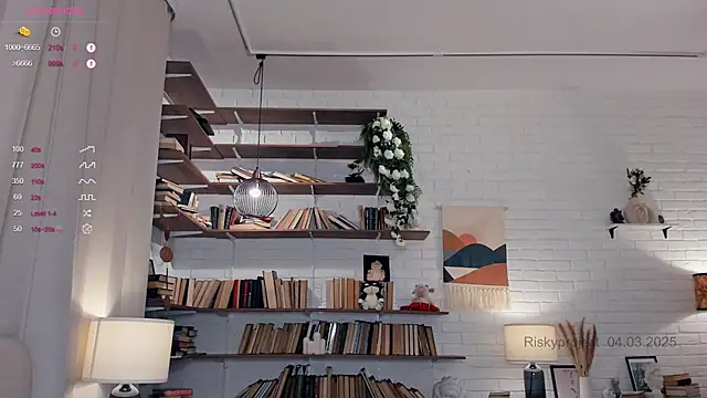 Snapshot of Riskyproject chatting on 4, 3, 2025 Riskyproject online show from 4, 3, 2025