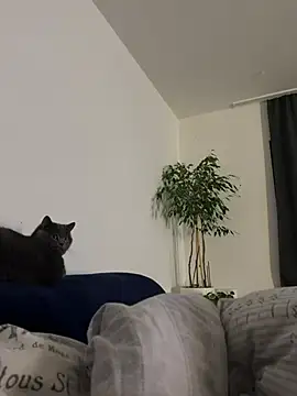 Koy261112 online show from 4, 2, 2026