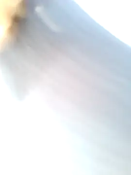 mustican422 online show from 25, 2, 2025