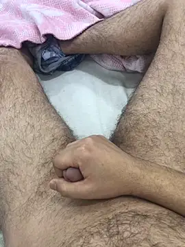 Snapshot of bulpof chatting on 27, 2, 2026 bulpof online show from 27, 2, 2026