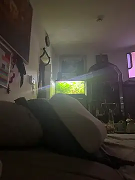 Toyjungee online show from 12, 1, 2026