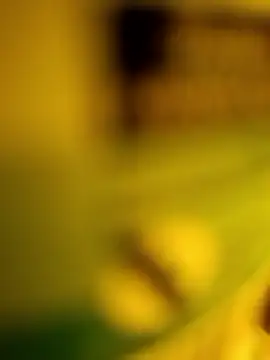 George21ek online show from 9, 1, 2026