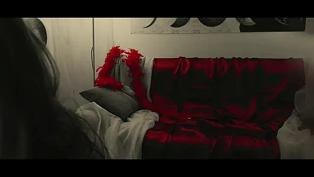 Snapshot of WebCora chatting on 17, 1, 2025 WebCora online show from 17, 1, 2025