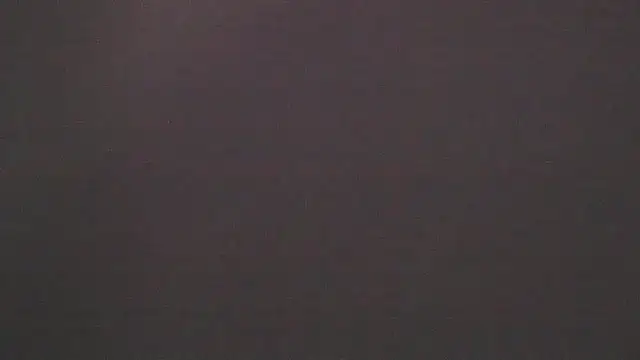 xiomara  cortes online show from 14, 1, 2025