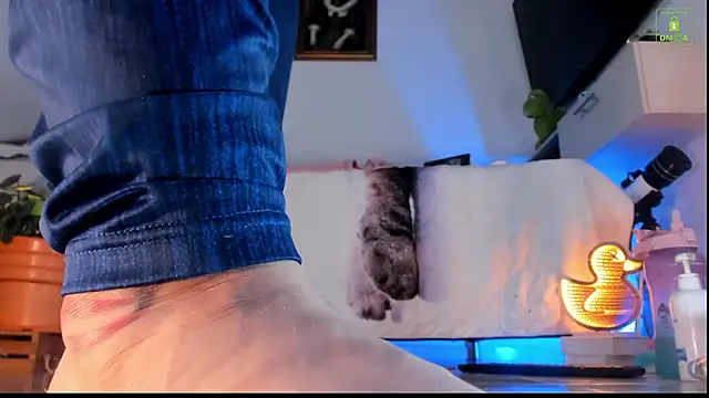 miaa-lee online show from 23, 10, 2025