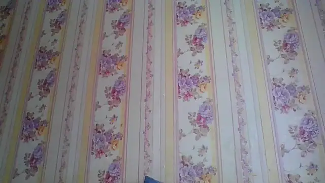 Skills  online show from 5, 12, 2024