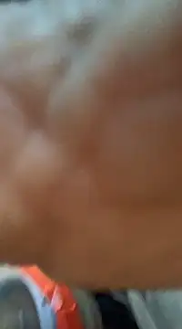 Likewise online show from 11, 12, 2024