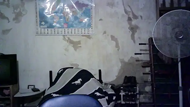 Snapshot of Emv2 chatting on 26, 11, 2025 Emv2 online show from 26, 11, 2025