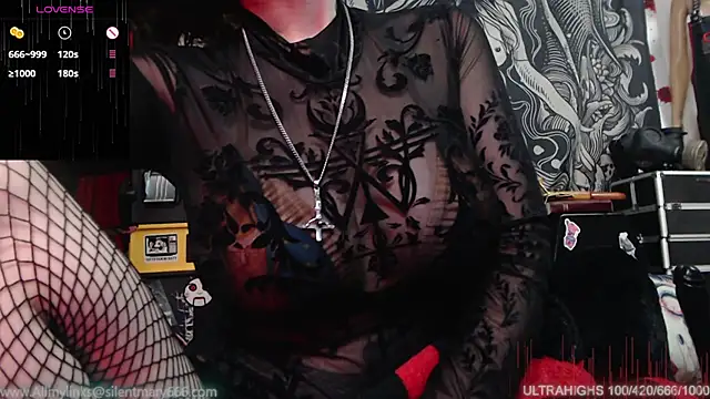Silentmary online show from 29, 12, 2024