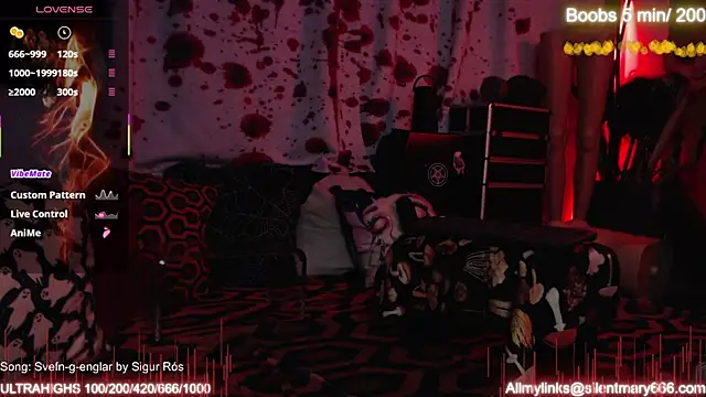 Snapshot of Silentmary chatting on 10, 10, 2025 Silentmary online show from 10, 10, 2025