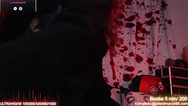 Snapshot of Silentmary chatting on 10, 11, 2025 Silentmary online show from 10, 11, 2025