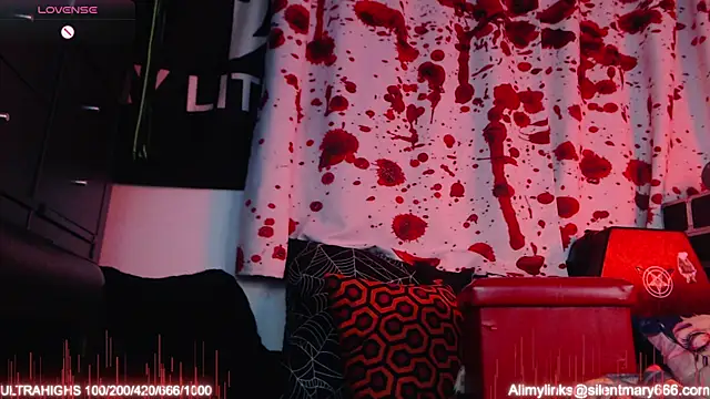 Snapshot of Silentmary chatting on 19, 11, 2025 Silentmary online show from 19, 11, 2025