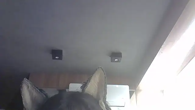 Skinny-Kitten online show from 14, 2, 2026