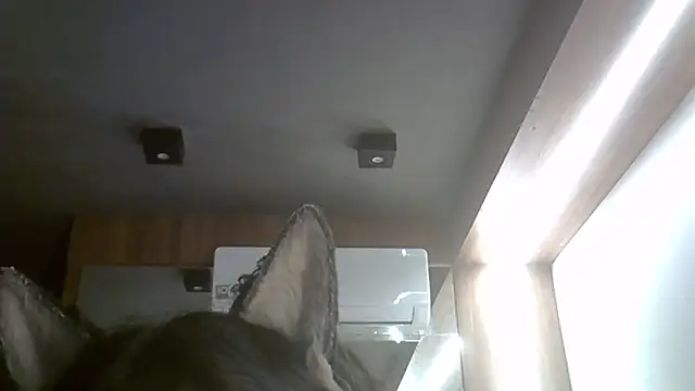 Skinny-Kitten online show from 15, 2, 2026