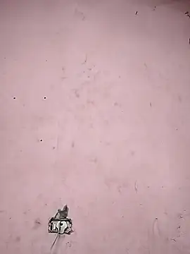 Sliced Digit online show from 9, 3, 2025