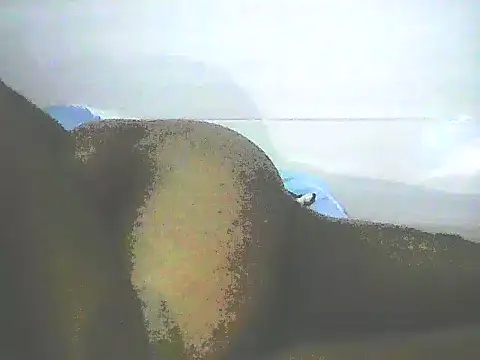 Snapshot of Stormward chatting on 12, 1, 2025 Stormward online show from 12, 1, 2025