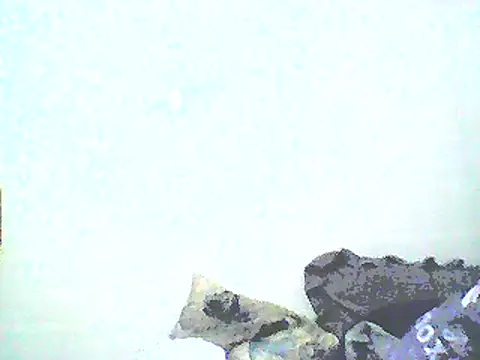 Snapshot of Stormward chatting on 12, 1, 2025 Stormward online show from 12, 1, 2025