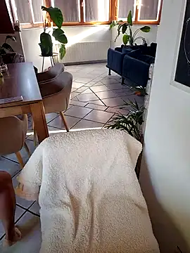 Isabellaa04 online show from 11, 10, 2025