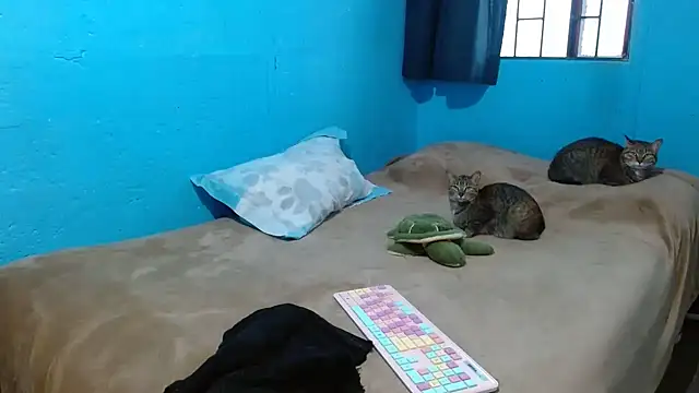 Snapshot of clarisse69 chatting on 18, 3, 2025 clarisse69 online show from 18, 3, 2025