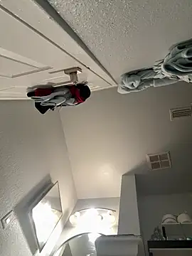 Snapshot of VipSection407 chatting on 13, 1, 2026 VipSection407 online show from 13, 1, 2026