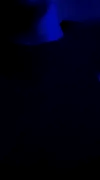 Midwestalpha online show from 6, 1, 2025