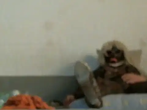 qwer1234 online show from 5, 3, 2026