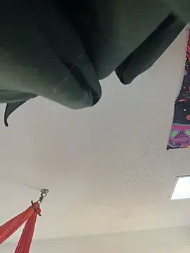 Terrafirma online show from 27, 1, 2025