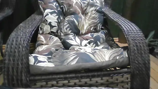 Kellynha Sweet online show from 21, 12, 2025